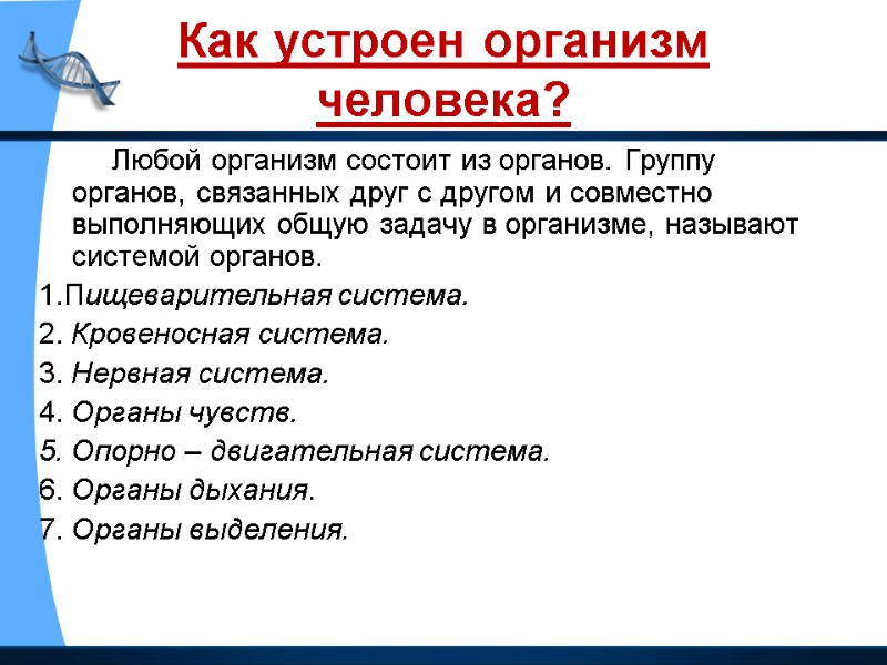 Как устроен организм человека?          Любой